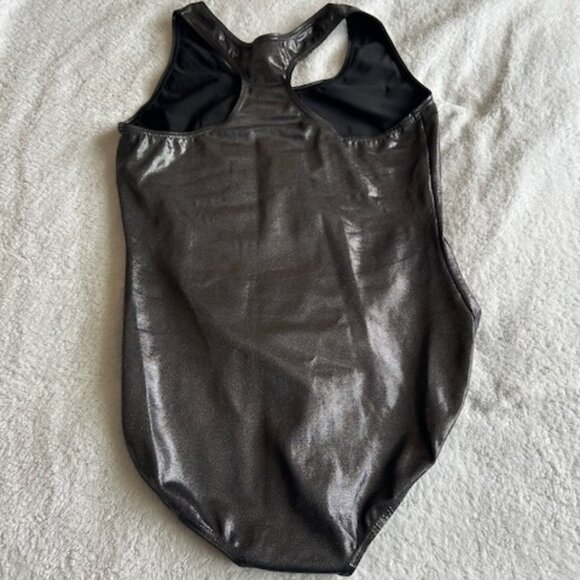 Balera Metallic Gunmetal Grey Leotard Adult Medium EPC - Picture 4 of 9